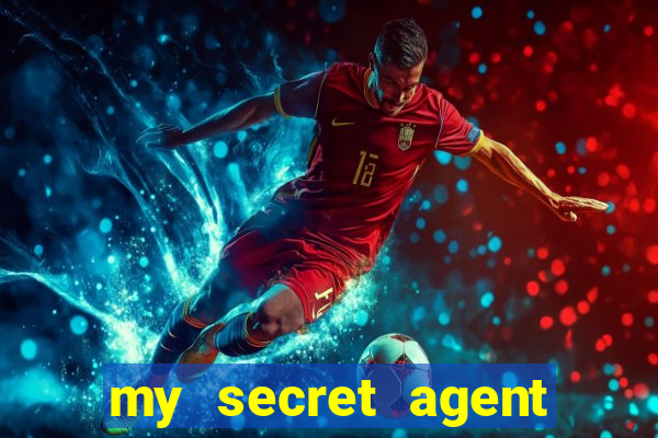 my secret agent husband legendado